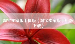 淘宝卖家版手机版（淘宝卖家版手机版下载）