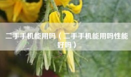 二手手机能用吗（二手手机能用吗性能好吗）