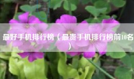 最好手机排行榜（最贵手机排行榜前10名）