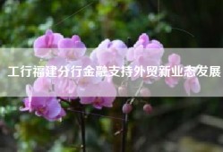 工行福建分行金融支持外贸新业态发展