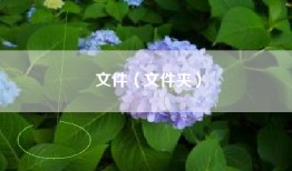 文件（文件夹）