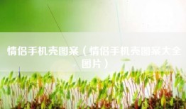 情侣手机壳图案（情侣手机壳图案大全图片）