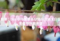 哇塞！2025 中华美食荟安陆分会场太白宴美食节嗨翻来袭