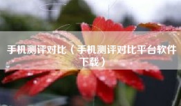 手机测评对比（手机测评对比平台软件下载）