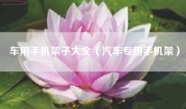 车用手机架子大全（汽车专用手机架）