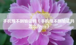 手机接不到验证码（手机接不到验证码怎么办vivo）