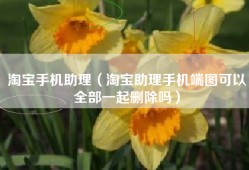 淘宝手机助理（淘宝助理手机端图可以全部一起删除吗）
