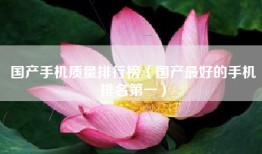 国产手机质量排行榜（国产最好的手机排名第一）