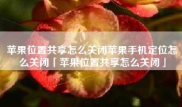 苹果位置共享怎么关闭苹果手机定位怎么关闭「苹果位置共享怎么关闭」