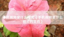 手机视频是什么格式（手机视频是什么格式的文件）