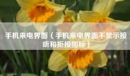 手机来电界面（手机来电界面不显示接听和拒接图标）