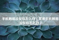 手机触屏没反应怎么办（苹果手机触屏没反应怎么办）