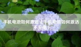 手机电池如何激活（手机电池如何激活不充电）