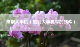 黑别人手机（黑别人手机号的软件）