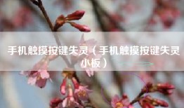 手机触摸按键失灵（手机触摸按键失灵小板）