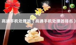 高通手机处理器（高通手机处理器排名）
