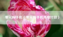 零元购手机（零元购手机分期付款）