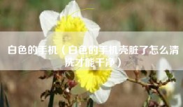 白色的手机（白色的手机壳脏了怎么清洗才能干净）