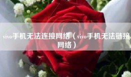 vivo手机无法连接网络（vivo手机无法链接网络）