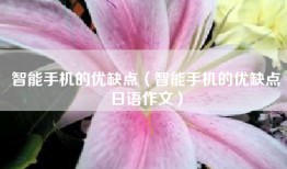 智能手机的优缺点（智能手机的优缺点日语作文）
