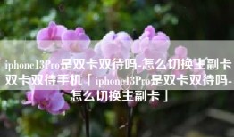 iphone13Pro是双卡双待吗-怎么切换主副卡双卡双待手机「iphone13Pro是双卡双待吗-怎么切换主副卡」