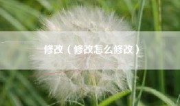 修改（修改怎么修改）