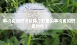 手机视频剪切软件（好用的手机视频剪辑软件）