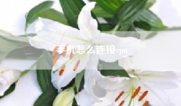 手机怎么连接vpn