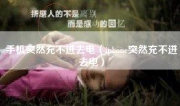 手机突然充不进去电（iphone突然充不进去电）