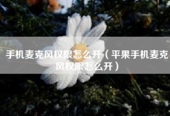 手机麦克风权限怎么开（平果手机麦克风权限怎么开）