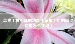 苹果手机的辅助功能（苹果手机的辅助功能怎么关闭）