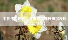 手机连接摇杆（手机连接摇杆按键没反应怎么回事）
