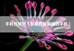 手机性能好（目前性能最强的手机）