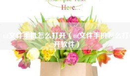tif文件手机怎么打开（tif文件手机怎么打开软件）