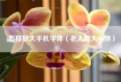 怎样放大手机字体（老人超大字体）