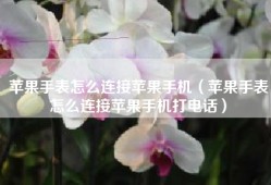 苹果手表怎么连接苹果手机（苹果手表怎么连接苹果手机打电话）