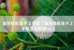 蓝牙耳机连不上手机（蓝牙耳机连不上手机怎么回事vivo）