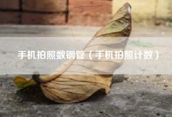 手机拍照数钢管（手机拍照计数）