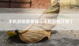 手机拍照数钢管（手机拍照计数）