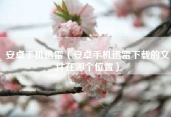 安卓手机迅雷（安卓手机迅雷下载的文件在哪个位置）