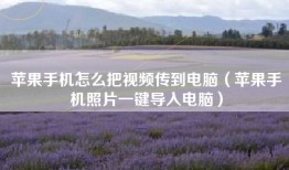苹果手机怎么把视频传到电脑（苹果手机照片一键导入电脑）