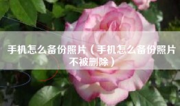 手机怎么备份照片（手机怎么备份照片不被删除）