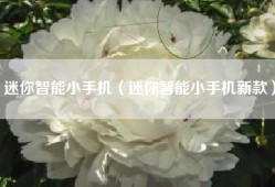 迷你智能小手机（迷你智能小手机新款）