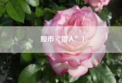 股市“猎人″！