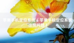 苹果手机定位系统（苹果手机定位系统出现问题）