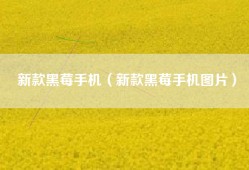 新款黑莓手机（新款黑莓手机图片）