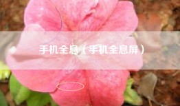 手机全息（手机全息屏）
