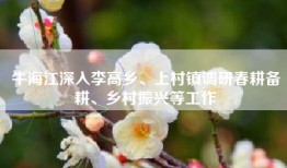 牛海江深入李高乡、上村镇调研春耕备耕、乡村振兴等工作