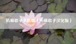 拓麻歌子手机版（拓麻歌子汉化版）