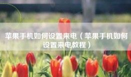 苹果手机如何设置来电（苹果手机如何设置来电教程）